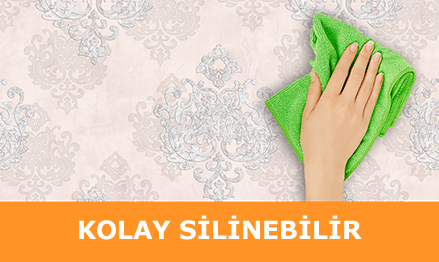 Kolay Silinebilir